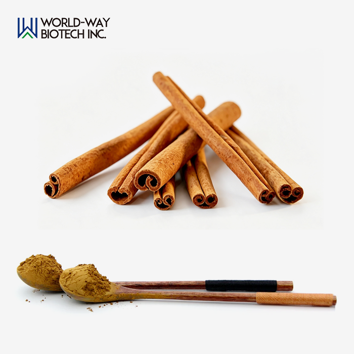 Ceylon Cinnamon Extract Powder